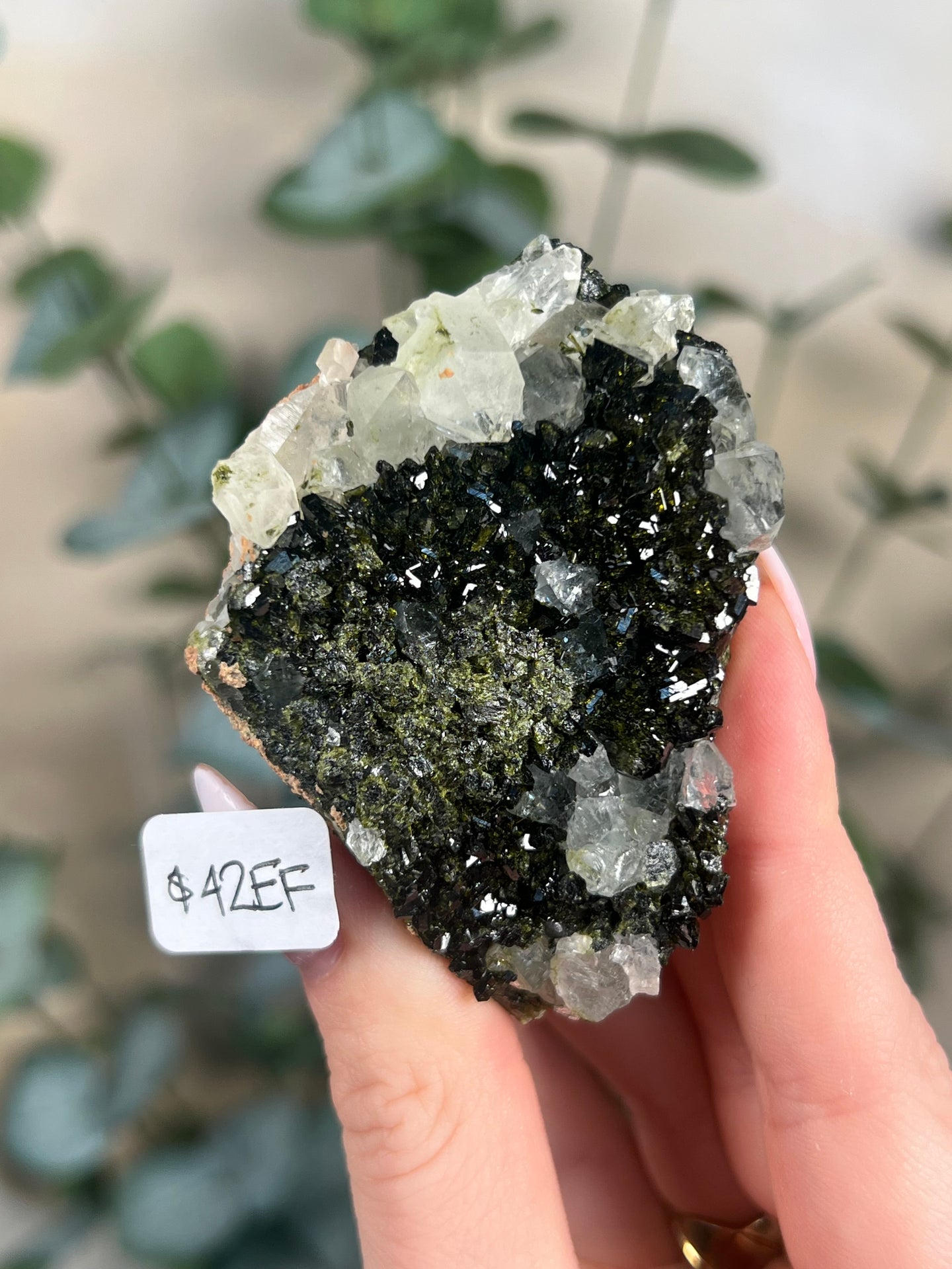 Forest Quartz / Epidote in Quartz (10 options)